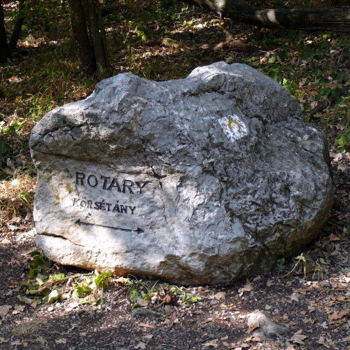 1_rotaryko_DD-002