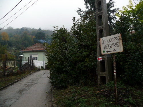ut_a_kopaszra