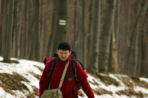 zold_jelzes