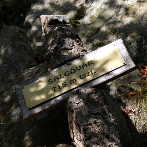 salgovar_tabla