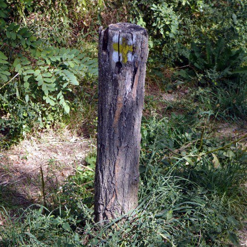KM-028_sarga