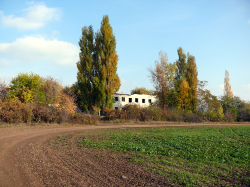 laktanya