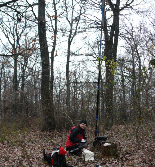 QSO