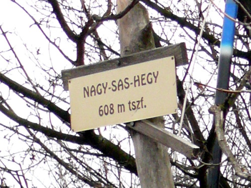 Csúcstábla