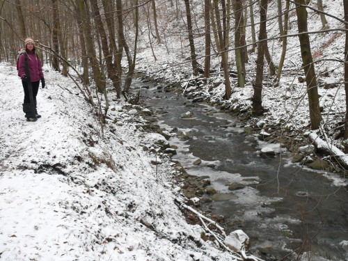 Csörgő