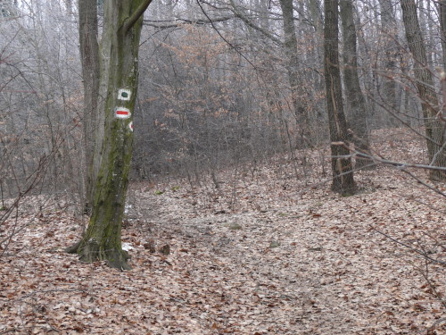 Jelzések