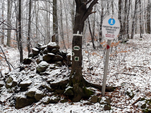 Zöld jelzések