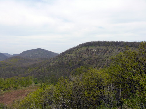 KM-015