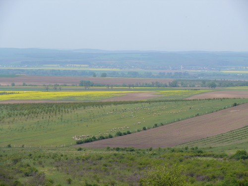 Birkák